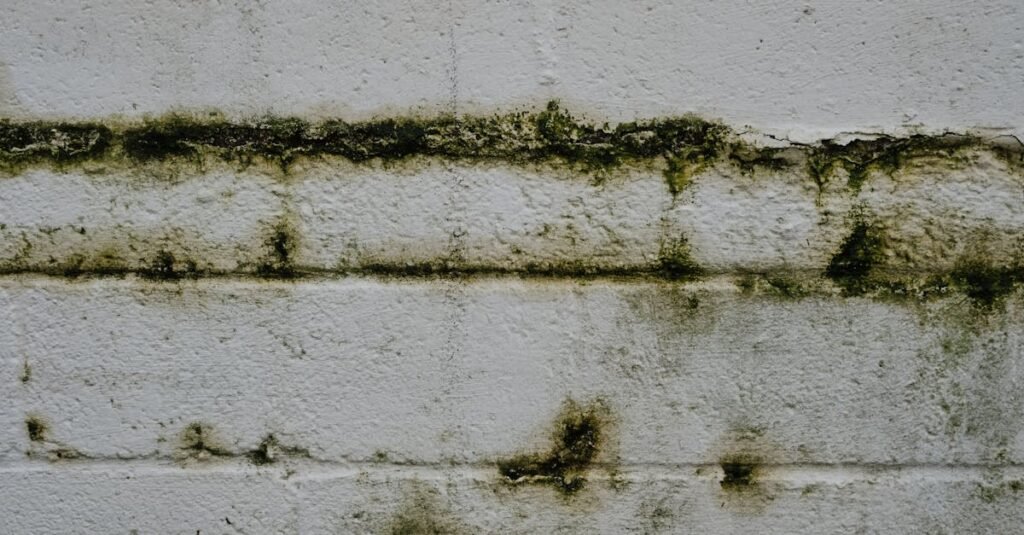 Damp and moisture damage on an interior wall